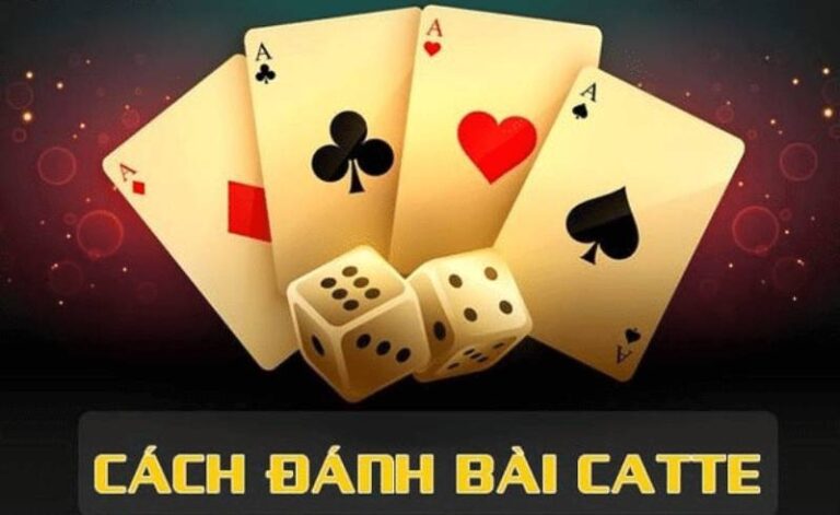 Catte Là Gì? Hướng Dẫn Chi Tiết Từ A Đến Z Dành Cho Người Mới Bắt Đầu 8 {6}