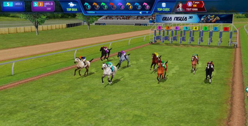 Kinh Nghiệm Chơi Đua Ngựa 3D: Bí Quyết Để Giành Chiến Thắng 3 thong tin ngua dua